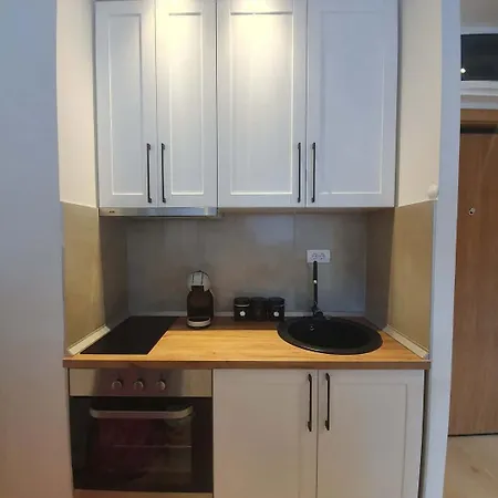 Appartement Irina Kopaonik